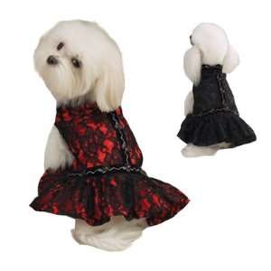  Zack & Zoey Lace Flamenco Dress Xsm Black: Pet Supplies