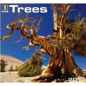  Trees 2010 Wall Calendar: Office Products