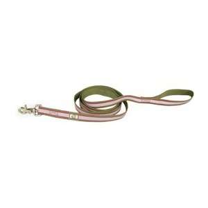  Olly Dog Nightlife II Reflective Leash Sage/Fuchsia: Pet 