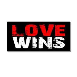  Love Wins   Distressed   Window Bumper Sticker: Automotive
