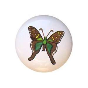  Long Tailed Skipper Butterfly Drawer Pull Knob: Home 