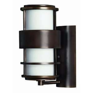    Hinkley Lighting 1900 Saturn Small Wall Outdoor: Home Improvement