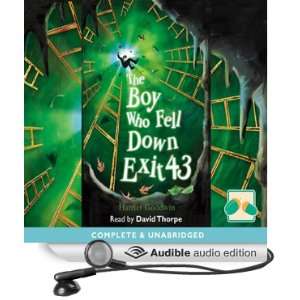  The Boy Who Fell Down Exit 43 (Audible Audio Edition 