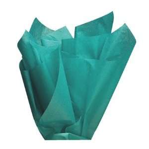   Green Wrap Tissue Paper 20 X 30   48 Sheets: Health & Personal Care