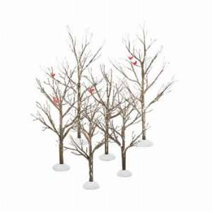   Bare Branch Trees   Set of 6 by Department 56   52623