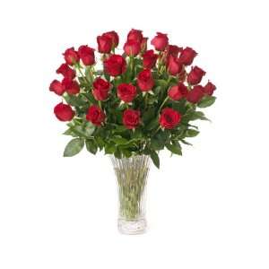 24 Long Stem Freedom® Roses (RED   60cm):  Grocery 