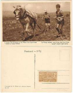 Judaica Palestine Old Postcard Young Girl Ploughing Nahalal With KKL 