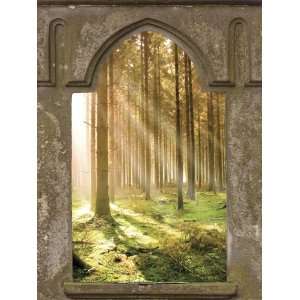  Brewster UMB91126 48 Inch by 36 Inch Mystic Forest Window 