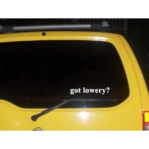  got lowery? Funny decal sticker Brand New Everything 
