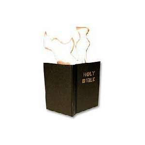  Flaming Book   Bible Toys & Games