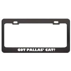 Got Pallas Cat? Animals Pets Black Metal License Plate Frame Holder 