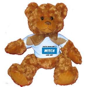  YOUVE NEVER MET A WITCH LIKE ME Plush Teddy Bear with 