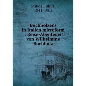    Abenteuer von Wilhelmine Buchholz: Julius, 1841 1905 Stinde: Books