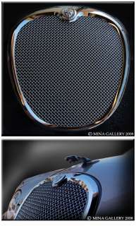 Jaguar S Type Mesh Grille Grill Insert R + BONUS  
