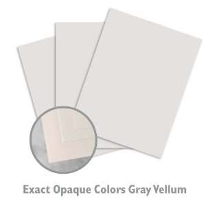  Exact Opaque Colors Gray Paper   2000/Carton Office 