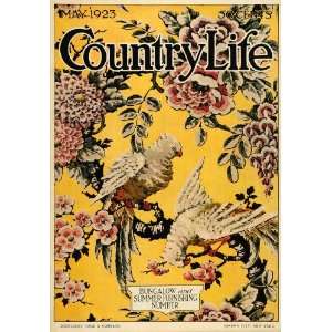  1923 Cover Country Life Cockatoo Birds Pets Botanical 