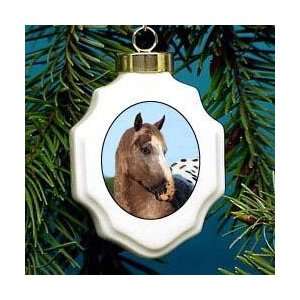  Appaloosa Horse Ornament: Home & Kitchen
