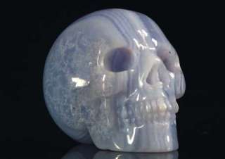The skull pictured is the exact one you will receive. All pictures 
