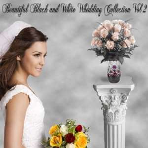   Backgrounds Photography Backdrops Wedding Vol. 2