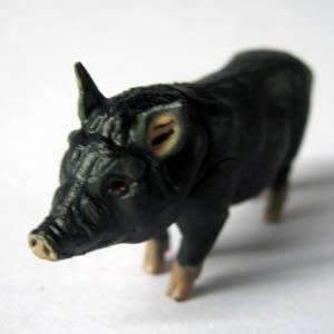 MINIATURE PIG, micro pig, teacup pig figure Japan PET 5  