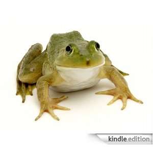 Frog   Animal Kingdom: App Book Shop:  Kindle Store