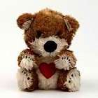 Tired Boof Picture book Charecter of americas Suzys Zoo bear plush
