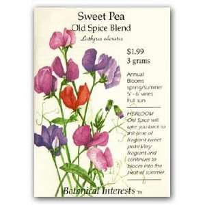 Sweet Pea Old Spice Blend Seed: Patio, Lawn & Garden