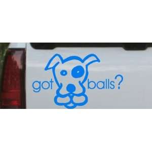 Blue 28in X 16.8in    Got Balls Dog Animals Car Window Wall Laptop 