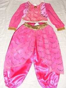Disney Store Aladdin Pink Jasmine Costume S Small 5/6  