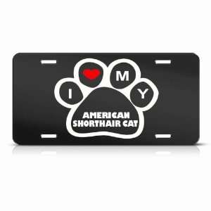  American Shorthair Cats Black Animal Metal License Plate 