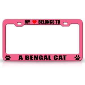  MY HEART BELONGS TO A BENGAL Cat Pet Auto License Plate 