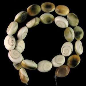  17mm ammonite fossil shell flat oval beads 16 strand 