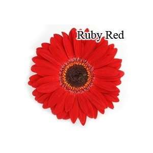 Ruby Red Gerbera Daisies   72 Stems: Arts, Crafts & Sewing