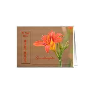   Granddaughter ~ Age Specific 41st ~ Orange Day Lily Card: Toys & Games