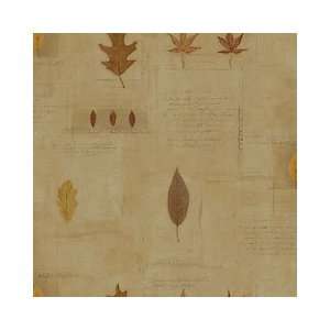  Treasures of Autumn Black and Tan Wallpaper by Village in 