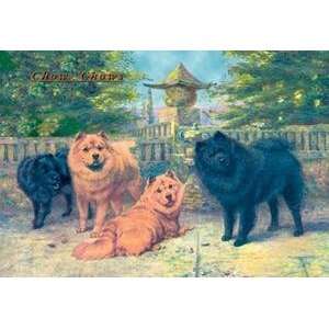  Vintage Art Four Champion Chow Chows   04380 6