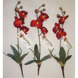   Red) Mini Phalaenopsis Silk Orchid with Leaves (3 plants). Everything