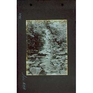   negatives. Stream flowing over rocks with leaning tree on right 1917