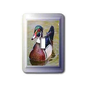 SmudgeArt Photography Art Designs   Wood Duck   Light Switch Covers 