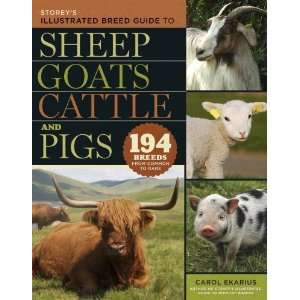  Storeys Illustrated Breed Guide to Sheep, Goats, Cattle 