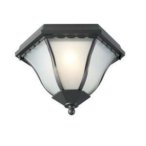   Arcadia Outdoor Ceiling Light, Archit   1071095: Home Improvement
