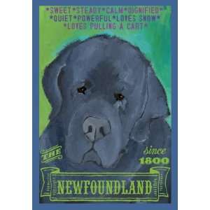 Colorful Newfoundland Dog Print from Oil Original by Ursula Dodge 