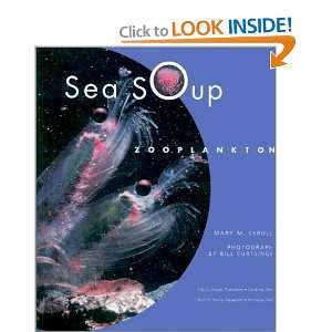  Sea Soup Zooplankton [Hardcover] Mary M. Cerullo Books