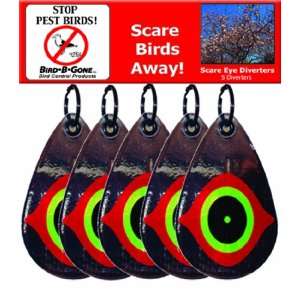   Bird B Gone MMSED5 Scare Eye Diverter, Set of 5 Patio, Lawn & Garden