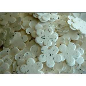  Five Petal Plantable White Confetti Favors Health 