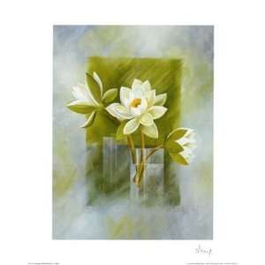  White Water Lilies Franz Heigl. 16.00 inches by 20.00 