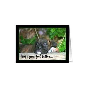 Feel Better Brindle boxer puppy Card