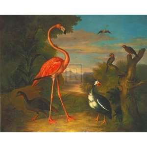    Flamingo in a Landscape by Jacobo Bogdani 34x28