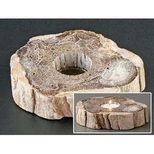 Fossil Tree Fern Candle Holder 