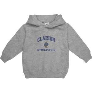  Clarion Golden Eagles Sport Grey Toddler/Kids Varsity 